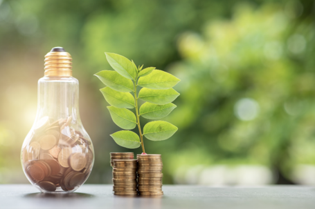 Clear lightbulb filled with coins