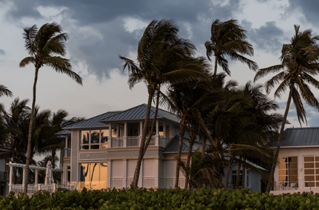Palm trees in wind during storm